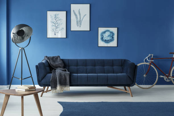 Grey additions in blue trendy living room with bicycle ROOM ADDITIONS